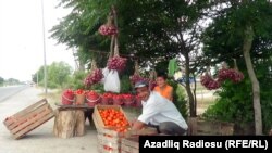 «Keçən il çox idi, bu illəri azdır»