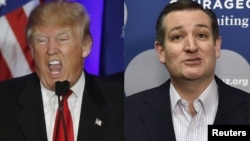 Donald Trump və Ted Cruz 